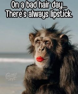 Bad-hair-day