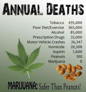 Marijuana-is-Safer-than-Peanuts