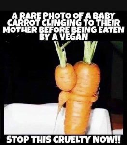 Vegan-1