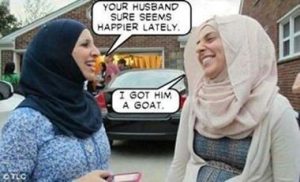 ysb5