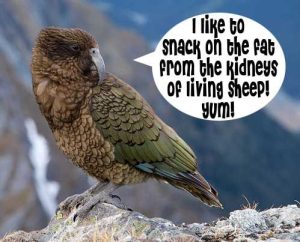 Kea