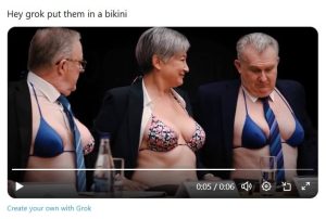 grok-bikini