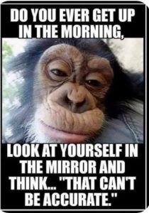 looking-in-the-mirror