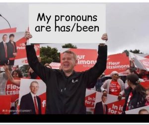 hippies-pronouns