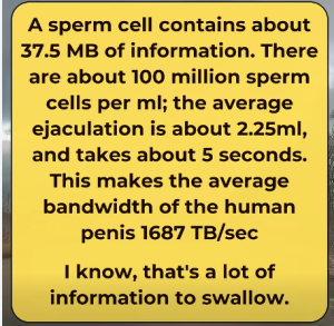 dna-swallow