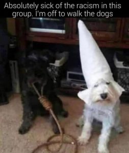 Walk-the-dogs